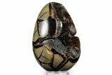 Bargain, Septarian Dragon Egg Geode - Sparkly Black Crystals #348452-2